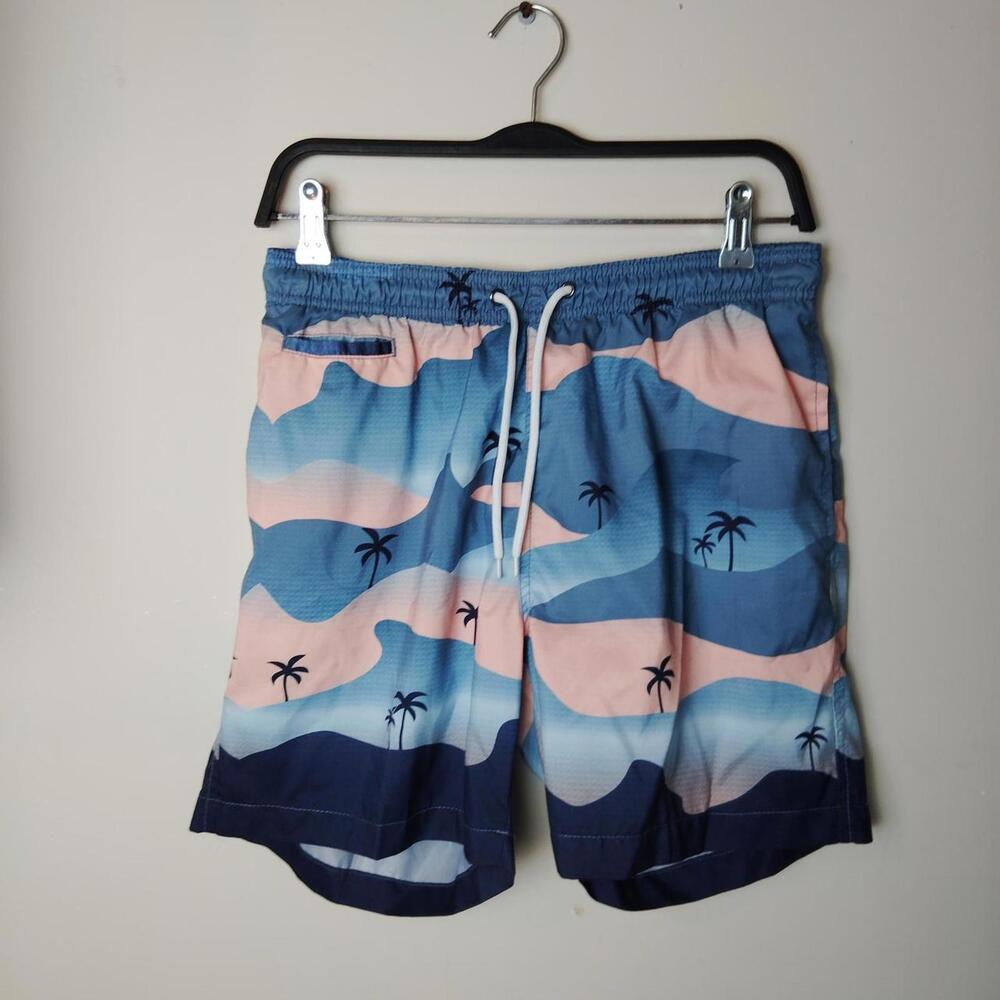 Men's Multi and Blue Swim-briefs-short